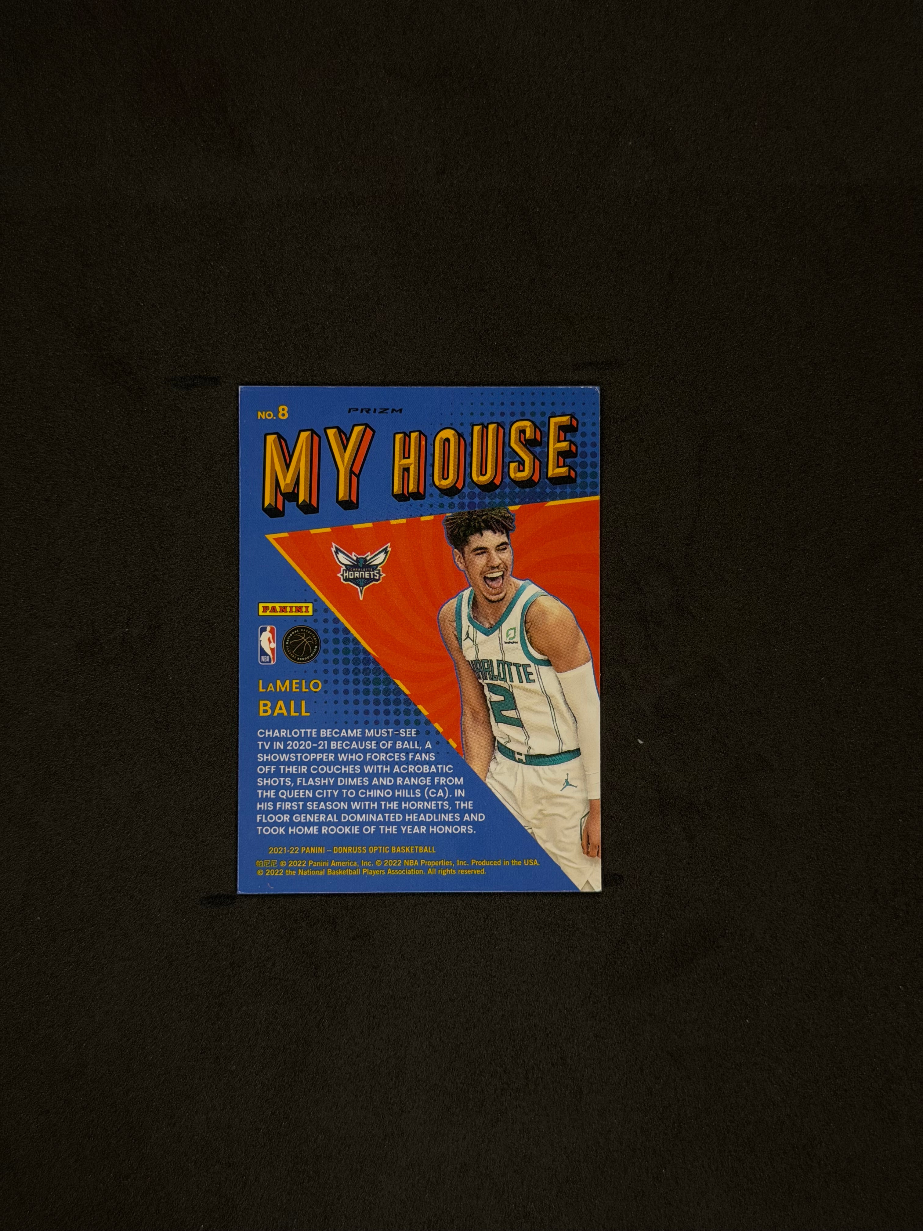 Lamelo Ball “My House”